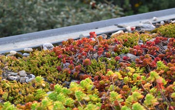 the cost of Marwick green roof installation