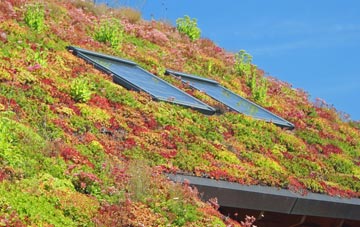 Marwick living roof systems