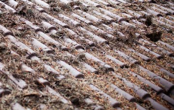 Marwick roof cleaning companies